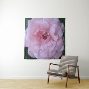 Tapisserie murale Rose rose avec gouttes de pluie