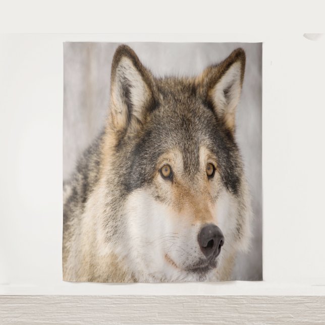 Tapisserie photo loup animal mignon faune (Devant)