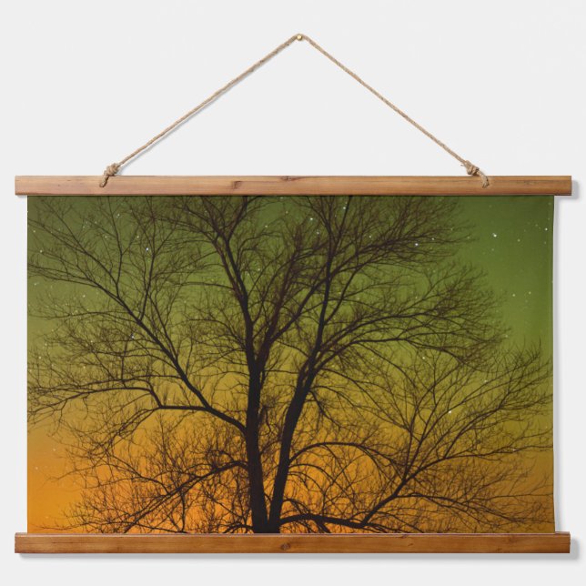 Tapisserie Suspendue Aurora Borealis & Cottonwood Tree (Devant)