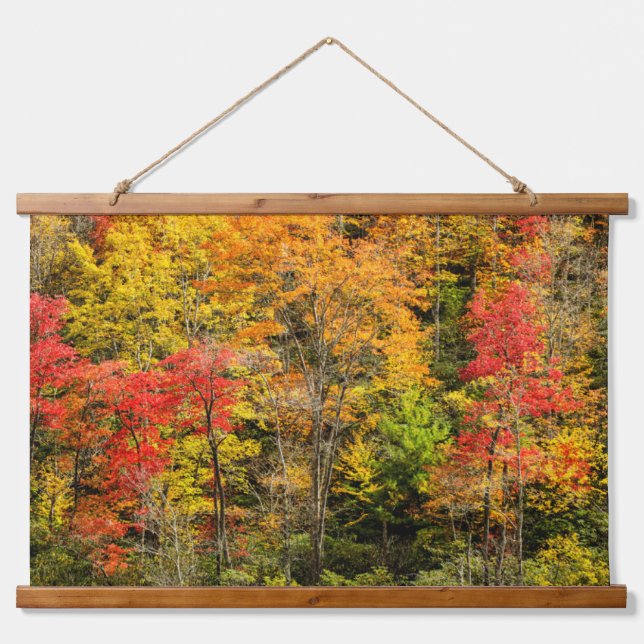 Tapisserie Suspendue Automne à Sims Pond North Carolina, Blue Ridge (Devant)