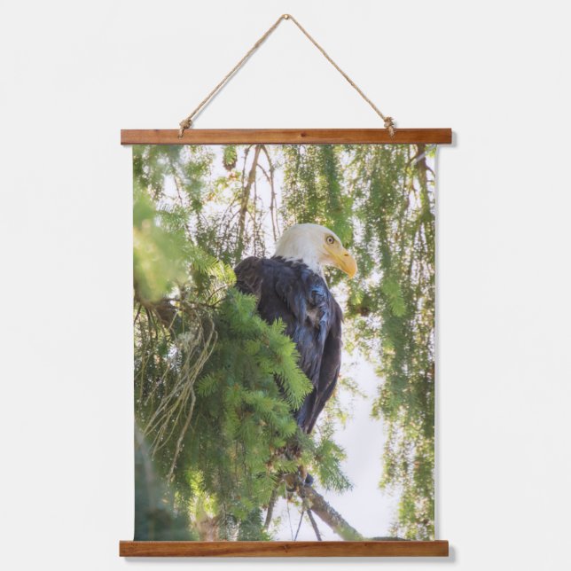Tapisserie Suspendue Bald Eagle perché dans Douglas Fir (Recto)