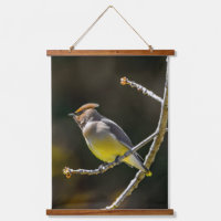Cèdre cire Songbird Photo originale Oiseau sauvage