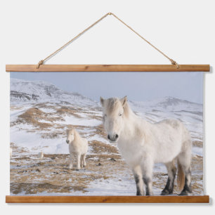 Tapisserie Suspendue Cheval islandais   Blonduos, Islande