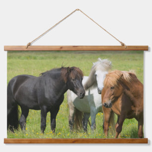 Tapisserie Suspendue Chevaux dans le ranch, sud de l'Islande