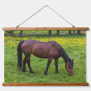 Tapisserie Suspendue Col de Tihuta, cheval dans un pâturage