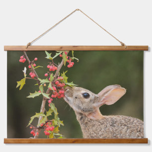 Tapisserie Suspendue Cottontail Est Sud du Texas