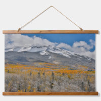 Couleurs d'automne des peupliers trembles & | Mon