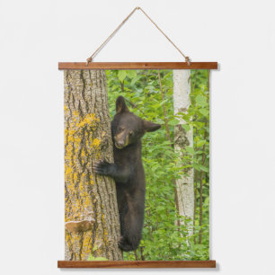 Tapisserie Suspendue Cube d'ours noir   Minnesota