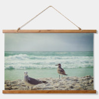 Des mouettes de plage à la caméra