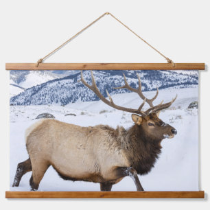 Tapisserie Suspendue Élan mâle   Wyoming