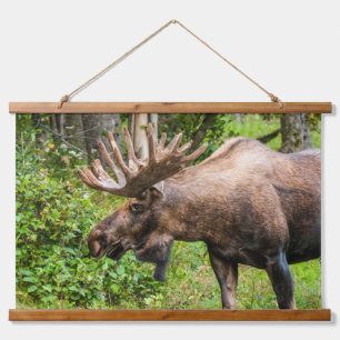 Tapisserie Suspendue Élan Péninsule de Kenai, Alaska