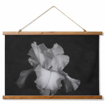 Elégant Iris noir blanc photo florale