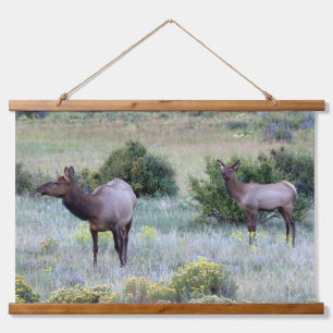 Tapisserie Suspendue Elk américain   Colorado