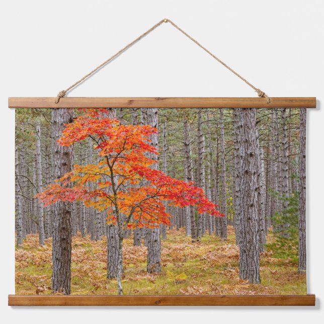 Tapisserie Suspendue Érable aux couleurs d'automne (Devant)