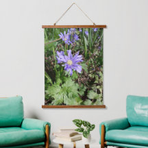 Fleur de jardin bleu