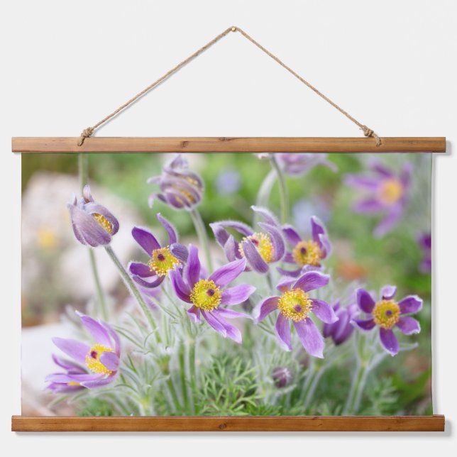Tapisserie Suspendue Fleurs violettes au soleil (Devant)