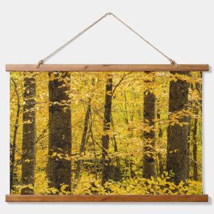 Tapisserie Suspendue Forêt nationale de Fall Pisgah