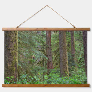Tapisserie Suspendue Forêt nationale de Willamette   Oregon