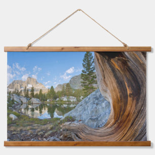 Tapisserie Suspendue Forêt nationale d'Inyo, Californie