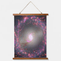 Galaxie Spirale Ngc 3351.