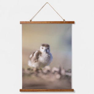 Tapisserie Suspendue Goose Chick Nature Photo