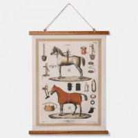 Illustration vintage Hippocampe équestre