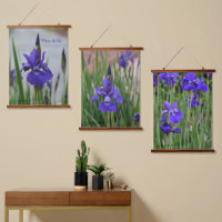 Iris Pourpre Botanique Floral Photographique