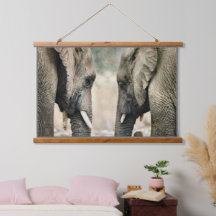 L'amour des éléphants