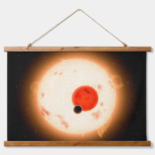 Tapisserie Suspendue Le système Kepler-16.