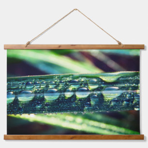 Tapisserie Suspendue Les gouttes de pluie sur l'herbe