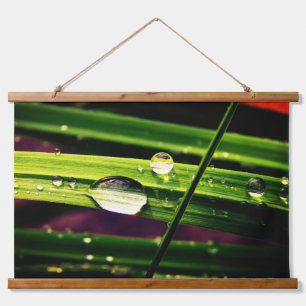 Tapisserie Suspendue Les gouttes de pluie sur l'herbe