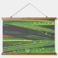Les gouttes de pluie sur l'herbe
