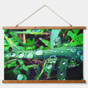 Tapisserie Suspendue Les gouttes de pluie sur l'herbe