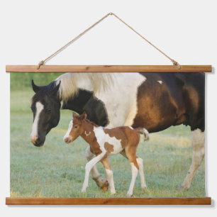 Tapisserie Suspendue Maman & Nouveau-né Paint Filly