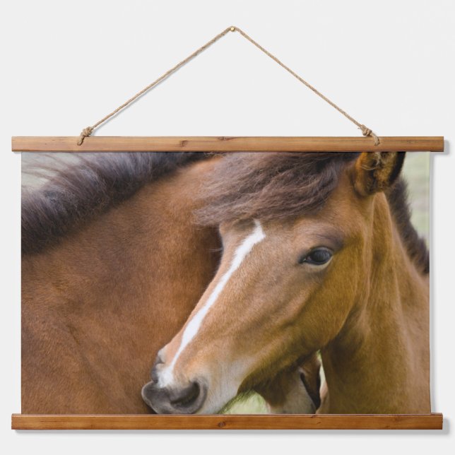Tapisserie Suspendue Mare Et Colt (Devant)