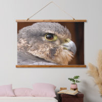 MERLIN FALCON OISEAU DE PREY
