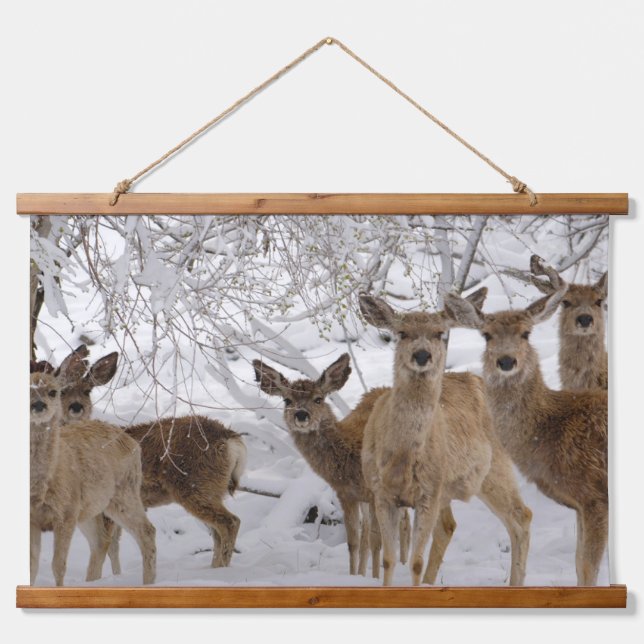 Tapisserie Suspendue Mule Deer Wyoming (Devant)
