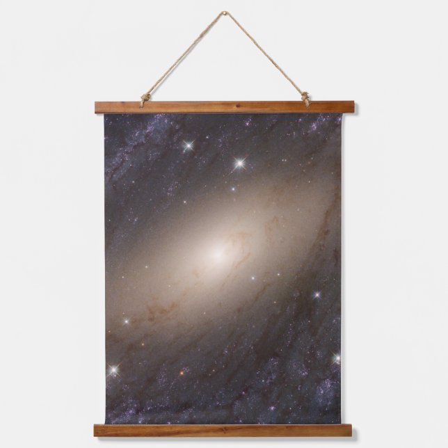 Tapisserie Suspendue Ngc 6744, 30 Millions D'Années-Lumières. (Recto)