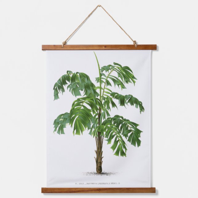 Tapisserie Suspendue Palm Print -Pieter Joseph de Pannemaeker 1832-1904 (Recto)