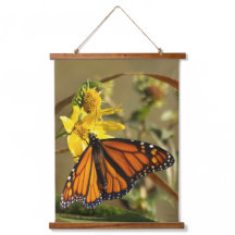 Papillon monarque