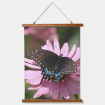 Papillon noir Swallowtail