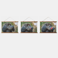 Pastèque Monkey Munching