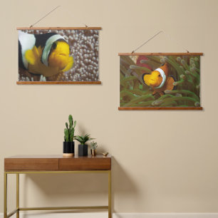 Tapisserie Suspendue Poisson-clown - Gros plan ! Tellement mignon - Nem