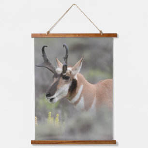 Tapisserie Suspendue Pronghorn Antelope Buck   Grand Tétons