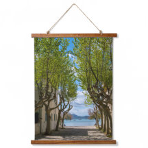 Puerto Pollensa Pine Walk Mallorca