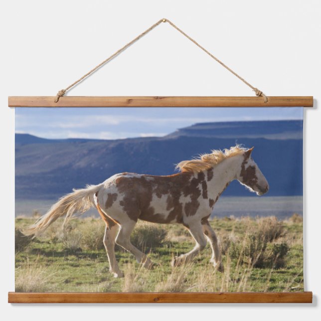 Tapisserie Suspendue Running Stallion, Steens Mountains, Oregon (Devant)