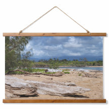 Scène de la plage de Driftwood
