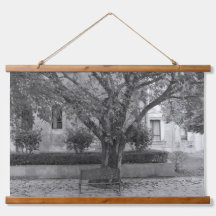 Série Li Garden : Échos sous l'arbre