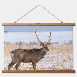 Tapisserie Suspendue Sika Stag In a Snowy Field   Japan