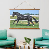 Stallion de thé Akhal noir galopant paddock clôtur